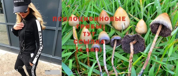 хмурый Краснослободск