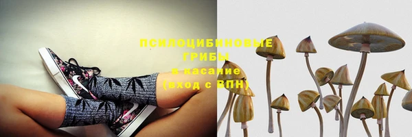 ГАЛЛЮЦИНОГЕННЫЕ ГРИБЫ Краснотурьинск
