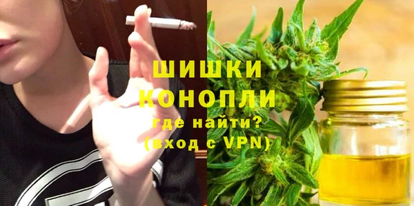 прущие грибы Корсаков