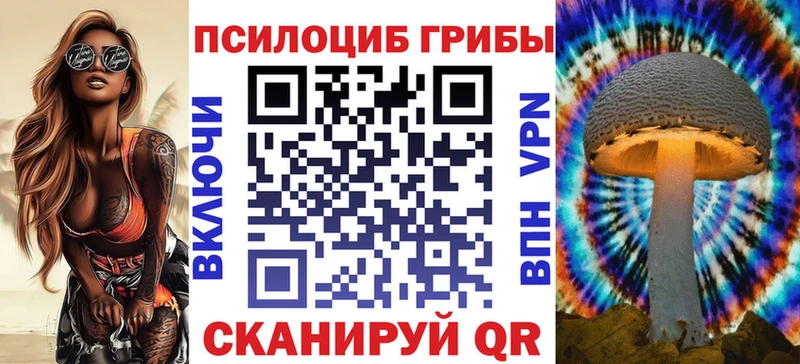 Галлюциногенные грибы Cubensis  купить закладку  Городище 